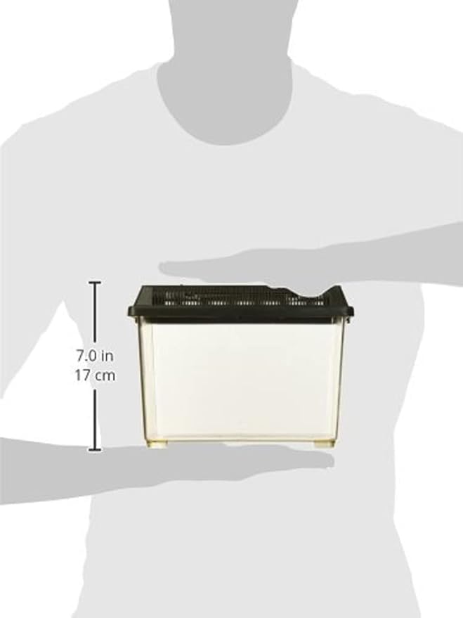 Exo Terra Faunarium, Plastic Reptile Terrarium, Small, PT2255 (Pack of 2)-Ruum Studio Home