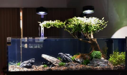 Seiryu Stone Natural Stone Rocks Fish Tank Decor Rocks for Aquariums Landscaping Model Tank Decoration Aquarium Miniature -20Lb (2-8 inch)-Ruum Studio Home