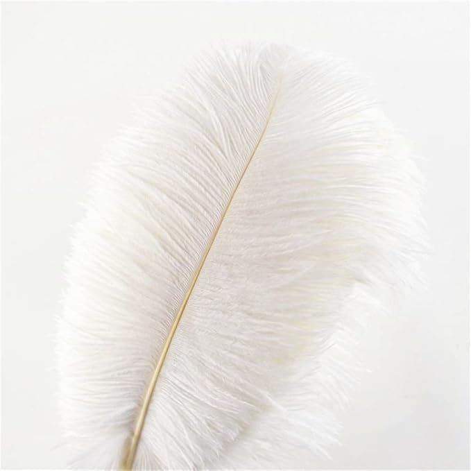 THARAHT 12pcs White Ostrich Feathers Natural Bulk 20-22Inch 50cm-55cm for Wedding Party Centerpieces Easter Gatsby and Home Decorate Ostrich Feathers-Ruum Studio Home