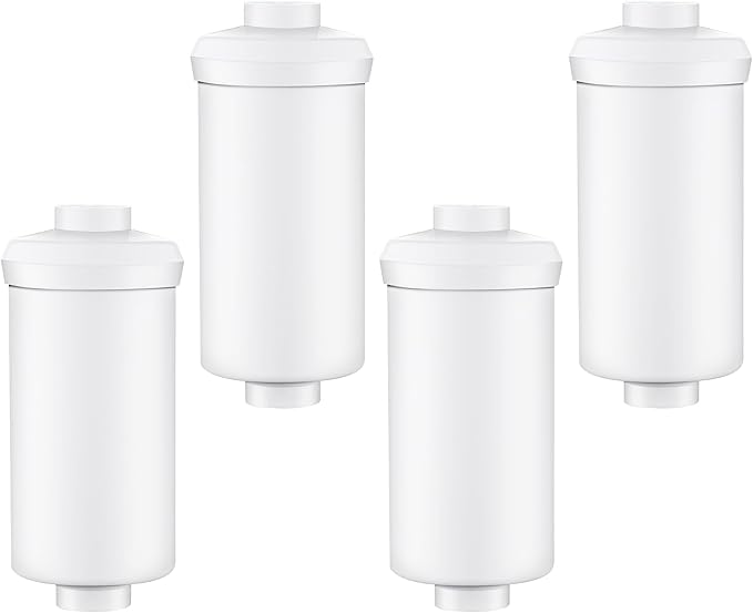 4 Pack Fluoride Water Filter,Replacement for PF-2® Fluoride Filters, Fluoride and Arsenic Filter Compatible with Berkey Gravity Filtration System、 Big、 Travel、 Royal、Imperial and Crown Series-Ruum Studio Home