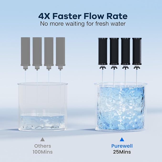 Purewell PF-3 Black 3-Stage Composite Purification Elements, Replacement Filters for ProOne® and Berkey® Filters, ProOne® or Berkey® Big+ Water Filter System and Purewell System (4 Pack, K Series)-Ruum Studio Home