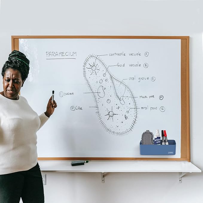 loukin Magnetic and Adhesive Marker Holder, Dry Erase Accessory Tray, Magnetic Storage Organizer for Whiteboard, Glass or Refrigerators (Blue)-Ruum Studio Home