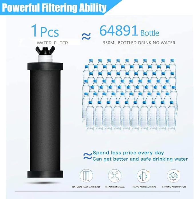 Water Filter Replacement Compatible with Berkey® Gravity Filter Filtration System, NSF/ANSI 42 Certified 4 Black Filters and 4 Fluoride Filters PF2 for Travel, Big, Royal Series-Ruum Studio Home