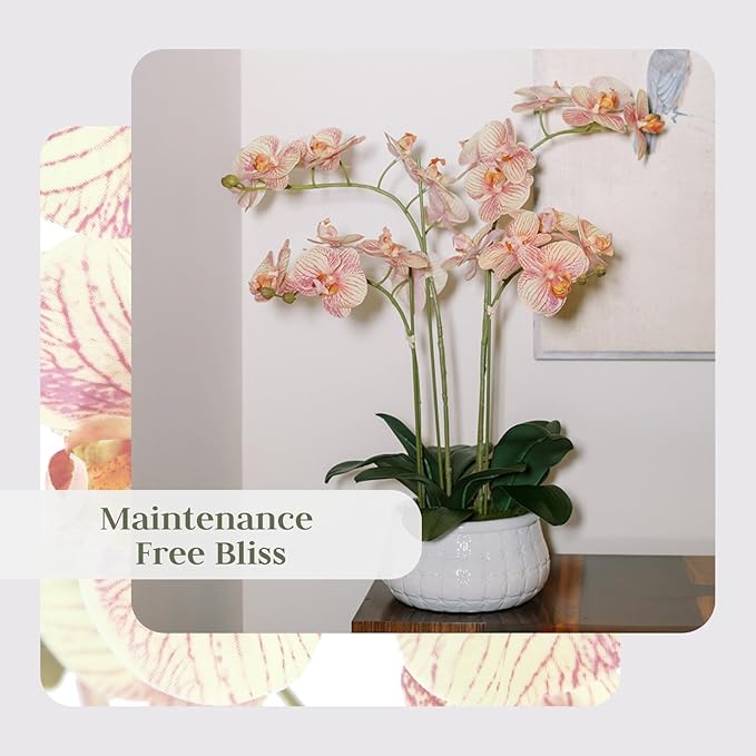 Faux Orange Orchid Plant, Premium Artificial Indoor Flower Display Stands 23”, Beautiful Sculptural Blooms That Lasts Forever, White Planter Pot Included-Ruum Studio Home