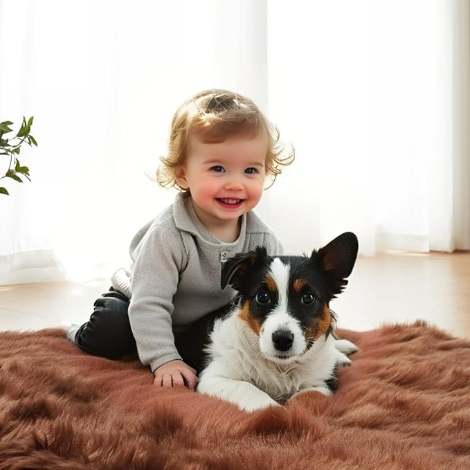 AMTOVO Faux Fur Sheepskin Rug for Living Room, 4 x 6 ft Coffee Fluffy Area Rug for Bedroom, Playroom, Luxury Room Decor, Rectangle-Ruum Studio Home