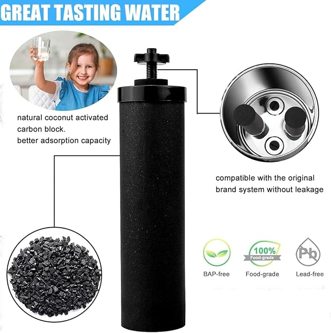 Water Filter Replacement Compatible with Berkey® Gravity Filter Filtration System, NSF/ANSI 42 Certified 4 Black Filters and 4 Fluoride Filters PF2 for Travel, Big, Royal Series-Ruum Studio Home