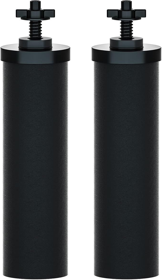 Purewell PF-2 Black 2-Stage Purification Elements, Replacement Filters for ProOne® and Berkey® Filters, ProOne® Big+ or Berkey® Big+ Gravity Water Filter System and Purewell System (2 Pack, K Series)-Ruum Studio Home