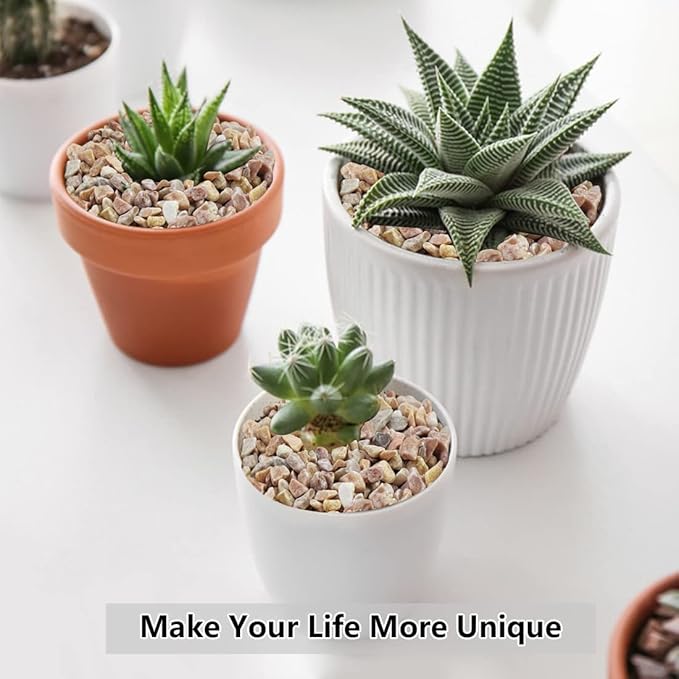 10LB Succulent and Cactus Gravel Pebbles, 1/5 Inch Natural Decorative Polished Stones, River Rocks for Plants, Vases, Aquariums, Terrarium and Outdoor Gardening,Peach-Ruum Studio Home