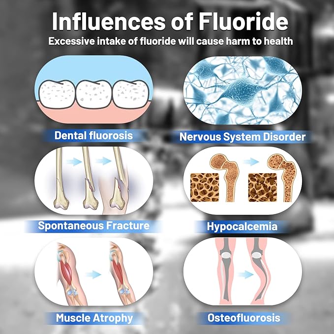 Purewell FL-2 White 5-Stage Fluoride Purification Elements, Replacement for Berkey® PF-2® Fluoride Filters, Berkey® Gravity Filtration System and Purewell System (2 Pack, K Series)-Ruum Studio Home