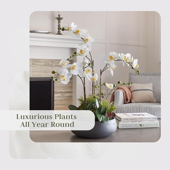 Faux Orchid Plant w/Succulents, Premium Artificial Indoor Flower Display Stands 24” w/Beautiful Sculptural Blooms and Succulents That Lasts Forever, Grey Planter Pot Included-Ruum Studio Home