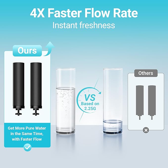 AQUACREST NSF/ANSI 42&372 Certified Water Filter, Replacement for Berkey® Gravity Water Filter System, Berkey® Black Purification Elements, Pack of 2-Ruum Studio Home