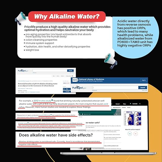 Frizzlife Reverse Osmosis Water Filter - Alkaline Mineral pH+, 600 GPD High Flow, Tankless RO Reverse Osmosis System, Under Sink, Reduce TDS, Compact, 2:1 Drain Ratio, PD600-TAM3-Ruum Studio Home