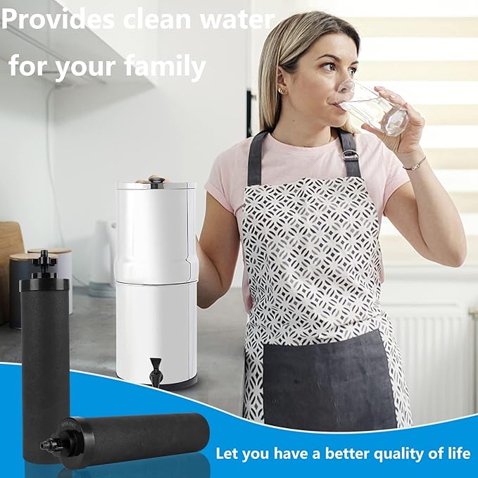 Water Filter Silver Infused Replacement for Berkey® BB9-2® Black Carbon Block Filters System,Compatible with Berkey® Gravity Countertop Purification Elements,Pack of 4-Ruum Studio Home