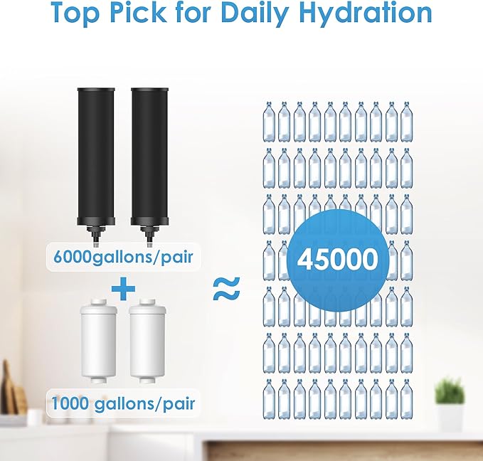 AQUA CREST Gravity Water Filter System, 304 Stainless Steel Countertop System with 4 Filters and Anti-Slip Stand, Reduce Fluoride and Chlorine, 2.25G, for Home, Camping, RVing, Off-Grid, Emergencies-Ruum Studio Home