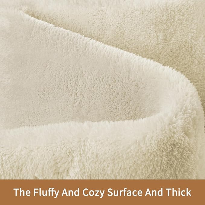 Sour Lemon 6x9 Soft Fluffy Machine Washable Non Slip Carpet Rugs for Living Room, Bedroom, Playroom, Kid's Room - Fluffy Home Decor-Ruum Studio Home