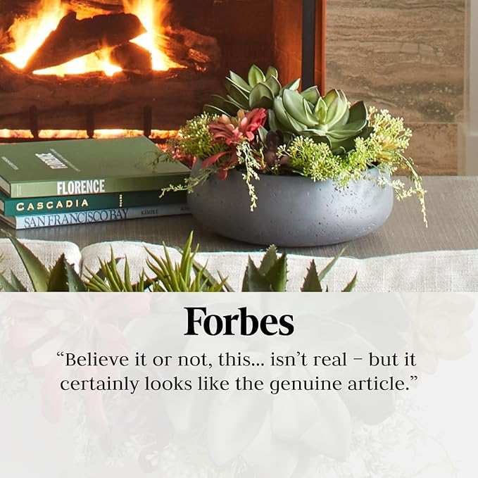 Faux Succulent Arrangement, Premium Artificial Indoor Plant Enhances Interior Design, Display on Any Surface in Your Home Adding an Inviting Touch of Nature, Grey Planter Pot Included-Ruum Studio Home