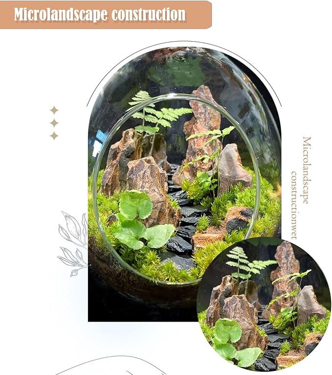 Dragon Rocks Aquariums Stones Natural Rocks for Aquascaping, Aquariums, Terrariums, Vivariums Decorative Stone,Reptile Enclosures,Paludariums,and Gardens-10LB(2 to 7 inch)-Ruum Studio Home