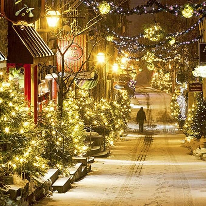 Home Lighting 66ft Christmas Decorative Mini Lights, 200 LED Green Wire Fairy Starry String Lights Plug in, 8 Lighting Modes, for Indoor Outdoor Xmas Tree Wedding Party Decoration (Warm White)-Ruum Studio Home