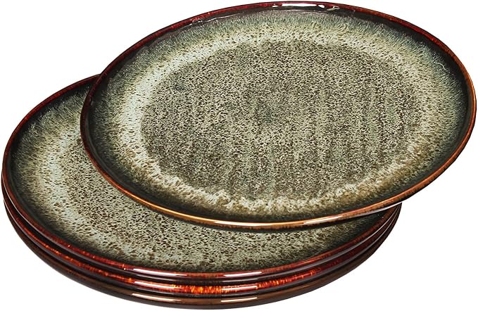 Ceramic Dinner Plates Dish Set,Set of 4,for Lunch snacks -Microwave Oven & Dishwasher Safe,Scratch Resistant,Dinnerware Kitchen Porcelain Serving Dishes 10 Inch Round-Ruum Studio Home
