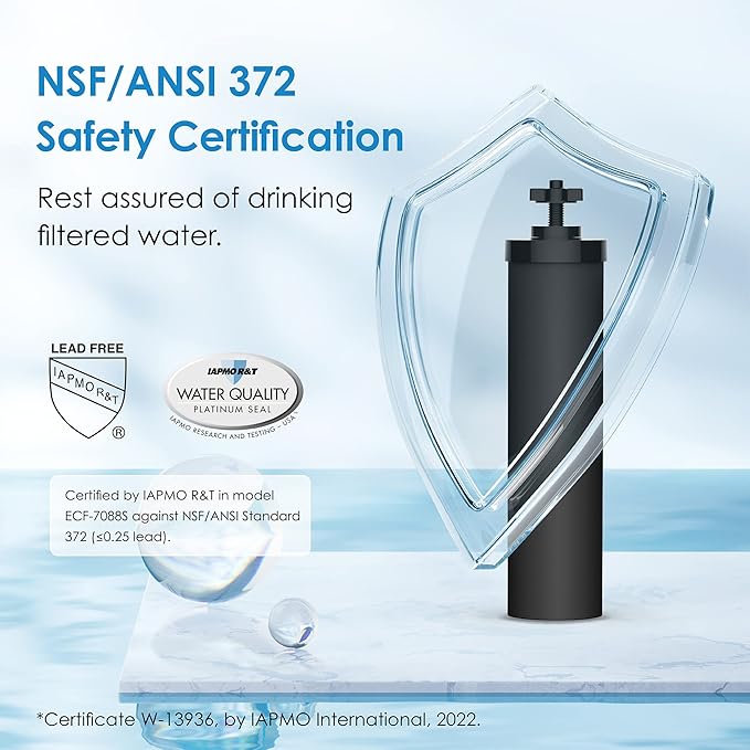Waterdrop Upgrade NSF/ANSI 372 Certified Water Filter, Silver Ions Added, Replacement for Berkey® BB9-2® Black Filters, Berkey® Gravity Water Filter System and Waterdrop King Tank Series-Ruum Studio Home