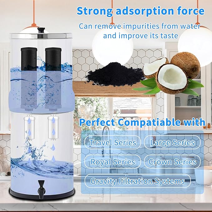 4 Pack Fluoride Water Filter,Replacement for PF-2® Fluoride Filters, Fluoride and Arsenic Filter Compatible with Berkey Gravity Filtration System、 Big、 Travel、 Royal、Imperial and Crown Series-Ruum Studio Home