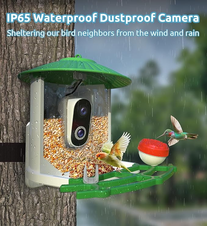 Bird Feeder with Camera, 2K HD AI Smart Identify BirdSpecies Video Camera with Solar Panel Outdoors Birdhouse with Cam, Instant Arrival Alerts, Capture BirdVideo Ideal Present for Bird Lover-Ruum Studio Home