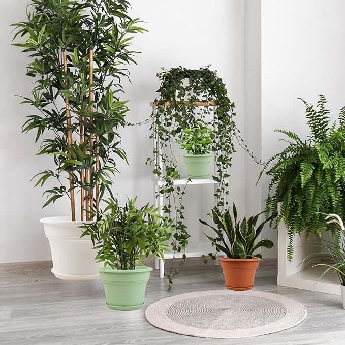 6 Inch Plastic-Flower Pot-for-Indoor Plants, 6 Pack Outdoor Plant Pots with Drainage Holes & Saucers, Resin Garden Pots Planters-Ruum Studio Home