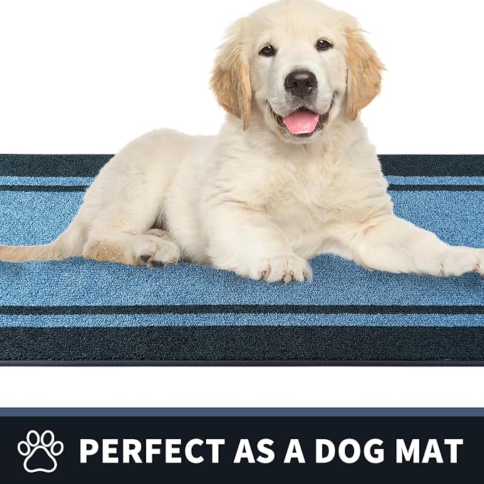 PURRUGS Dirt Trapping Door Mat 24" x 60", Non-Slip/Skid Machine Washable Entryway Rug, Shoes Scraper, Area Rug, Super Absorbent Welcome Mat for Muddy Wet Shoes and Paws, Light Blue & Navy-Ruum Studio Home