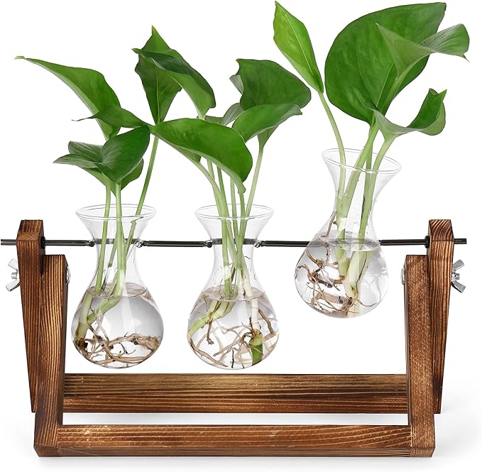 YIBOT Propagation Stations,Plant Terrarium with Retro Wooden Stand, Unique Gardening Birthday Gifts for Women Plant Lovers, Hydroponics Plants Home Office Garden Decor - 3 Bulb Glass Vases-Ruum Studio Home
