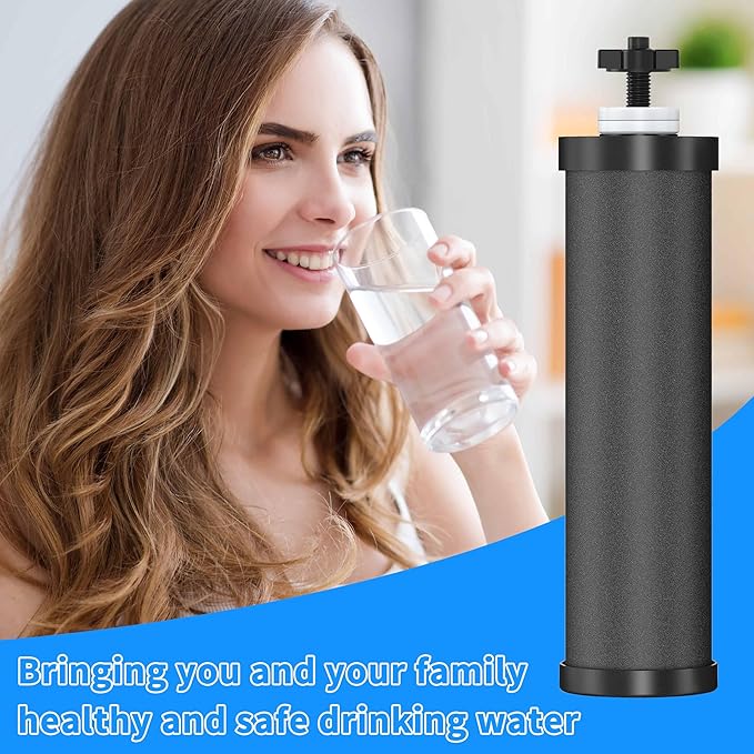 2 Pack Black Filters, Water Filter Replacement for Berkey BB9-2, Compatible with Berkey Gravity Water Filter Systems-Ruum Studio Home