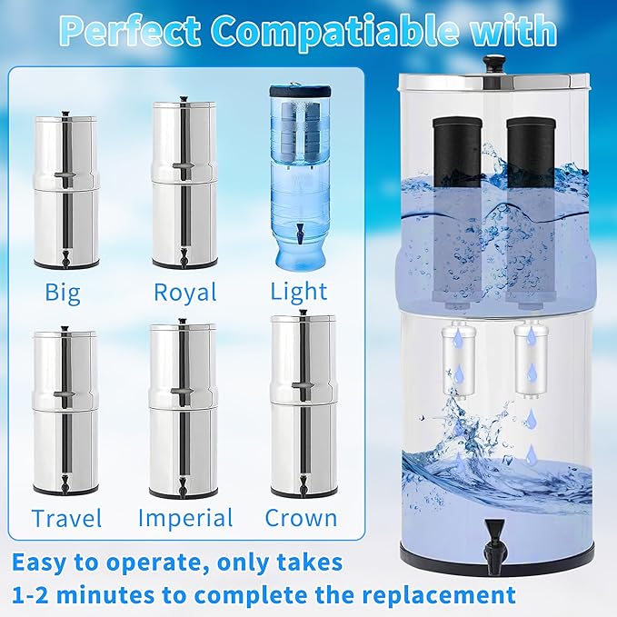 4 Pack Fluoride Water Filter,Replacement for PF-2® Fluoride Filters, Fluoride and Arsenic Filter Compatible with Berkey Gravity Filtration System、 Big、 Travel、 Royal、Imperial and Crown Series-Ruum Studio Home