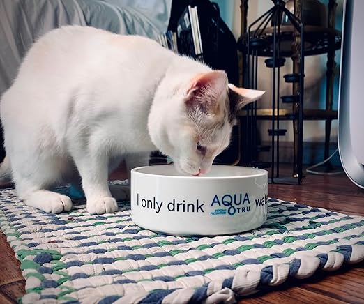 AquaTru Carafe Smart | Countertop Water Purifier for PFAS and Other Contaminants with Exclusive 4-Stage Ultra Reverse Osmosis Technology (No Plumbing or Installation Required) | BPA Free-Ruum Studio Home