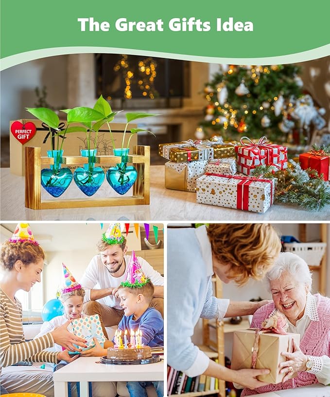 Nacome Plant Terrarium for Office Decor: Birthday Gifts for Plant Lovers Women Mom Wife - Wooden Stand Tabletop Planter 3 Bulb Glass Vase Heart Shaped for Hydroponics Indoor Home-Ruum Studio Home