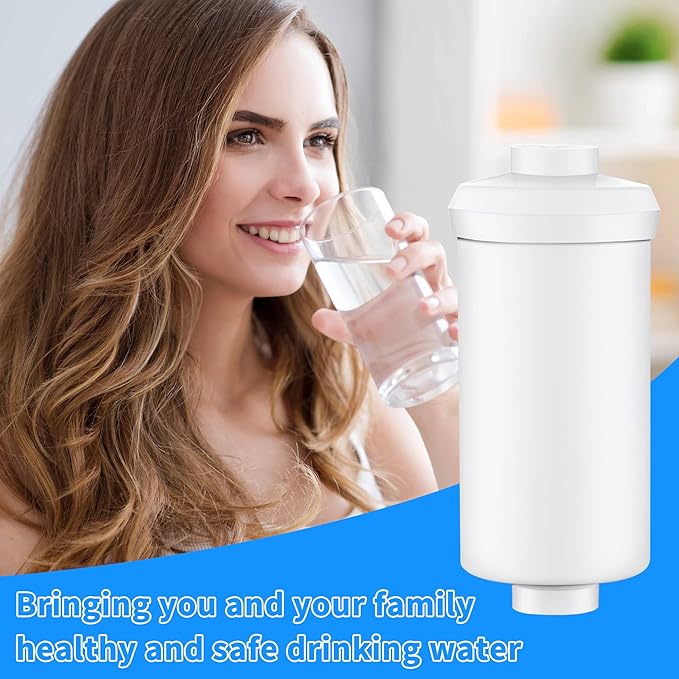 4 Pack Fluoride Water Filter,Replacement for PF-2® Fluoride Filters, Fluoride and Arsenic Filter Compatible with Berkey Gravity Filtration System、 Big、 Travel、 Royal、Imperial and Crown Series-Ruum Studio Home
