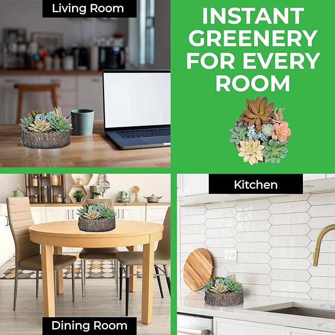 Premium Assorted Artificial Succulent Collection - Large Real Touch Artificial Cactus, Aloe Vera & Succulent Plants Artificial with Pots for Home Office Indoor (Artificial Tree Stump - Pot)-Ruum Studio Home