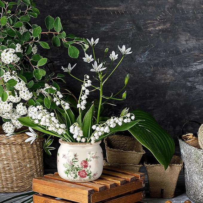 Vintage Planter Large Ceramic Plants Pot Beige Pink French Rose Ice Crack Cottage Scroll Vase Flower Vase Pot Indoor Plants Home Kitchen Decor Farmhouse Antique Decorative Gifts-Ruum Studio Home