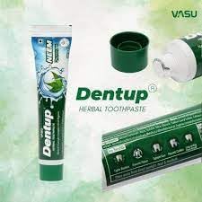 Vasu Dentup Herbal Neem Toothpaste | Ayurvedic Gum Care Toothpaste for Cavity Protection, Gum Strength, Fresh Breath | Fluoride-Free Natural Oral Care – 100g Each (Pack of 2)-Ruum Studio Home