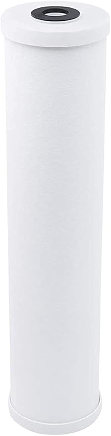 Pentair Pentek 150233 Big Blue Carbon Water Filter, 20-Inch, Whole House Heavy Duty Radial, Reduces Sediment and Chlorine Taste & Odor-Ruum Studio Home