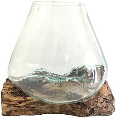 Hand Blown Molten Glass & Teak Wood Terrarium/Vase/Fish Bowl - Premium Quality (10" - 12" High)-Ruum Studio Home