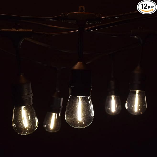 Hometown Evolution, Inc. 24 Foot E26 LED Outdoor Commercial String Lights with 12 Suspended Sockets and S14 LED Filament 1 Watt Bulbs-Ruum Studio Home