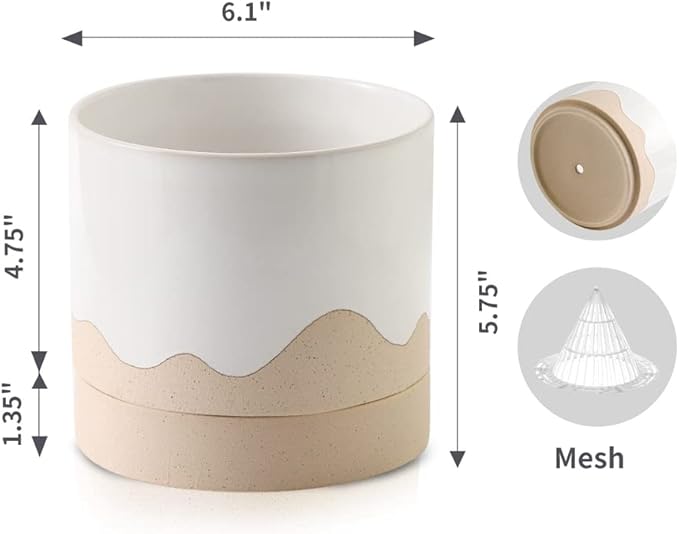 Nihow Ceramic Plant Pot: 6 Inch Planter with Drainage Hole & Saucer for Indoor & Outdoor Plants - Cylinder Round Flower Pot for Succulent/Herbs/Violets - White & Nature-Ruum Studio Home