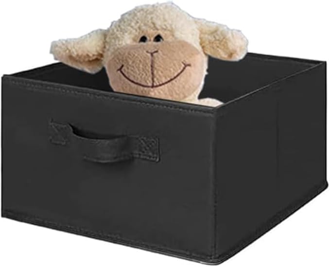 MAX Houser Hanging Shelf Closet Storage Organizer Removable Drawers ，Hanging Storage Organizer Hanging Sweater 2 Sock Underwear Drawers for Closet, Bedroom, Black-Ruum Studio Home