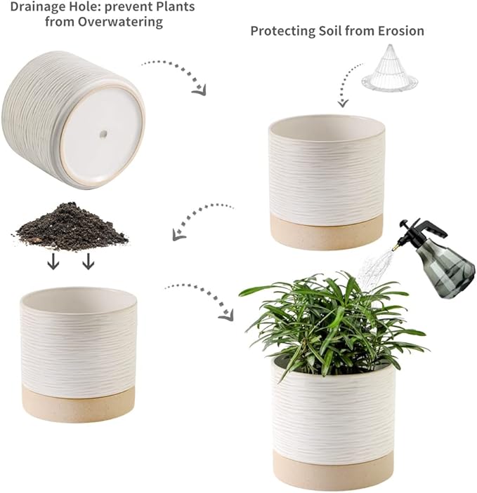 Nihow Ceramic Plant Pot: 6 Inch Planter with Drainage Hole & Saucer for Indoor & Outdoor Plants - Cylinder Round Flower Pot for Succulent/Herbs/Violets - Cream White & Brown-Ruum Studio Home