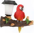 ParrotTree Hugger with Solar Lantern Outdoor Garden Hanging Statues Fence Solar Lights Ideal Parrot Housewarming&Birthday Gifts for Grandma Mom Women-Ruum Studio Home