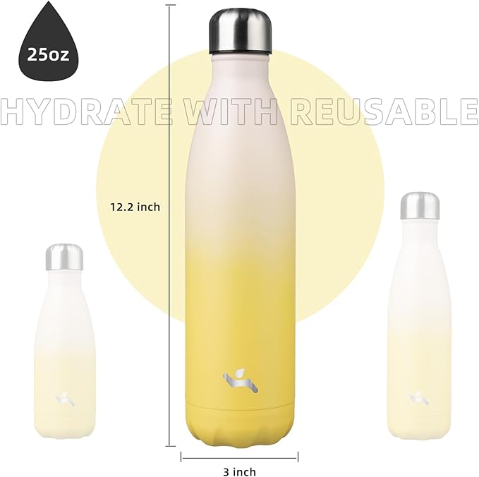 Insulated Water Bottles,25 oz Double Wall Stainless Steel Vacumm Metal Flask for Sports Travel,Lemon-Ruum Studio Home