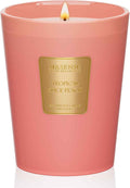 M&SENSE Tropical Spice Peach Scented Candle Home Decor, Natural Soy Wax,4.1oz 60 Hours Long Lasting Slow Burning, Aromatherapy Candle for Stress Relief-Ruum Studio Home