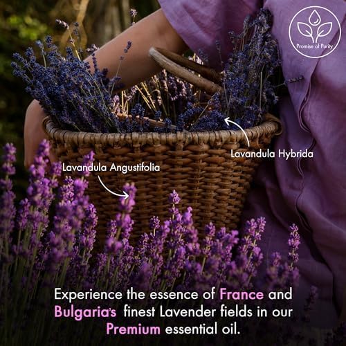 Majestic Pure Lavender Essential Oil with Glass Dropper - Huge 4 Fl Oz - 100% Pure and Natural Lavender Oil - Premium Grade Essential Oils for Diffuser, Aromatherapy, Soap and Candle Making-Ruum Studio Home
