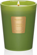 M&SENSE Rosemary Eucalyptus Scented Candle Home Decor, Natural Soy Wax,4.1oz 60 Hours Long Lasting Slow Burning, Aromatherapy Candle for Stress Relief-Ruum Studio Home
