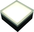 LUMENGY Paver Light 4×4 Inch (3.93 inch X 3.93 inch), Glare-Free 5000K Brick Lighting for Paver Driveways, Pathways, Patios & Garden, 12V Waterproof & Drive-Over Rated-Ruum Studio Home