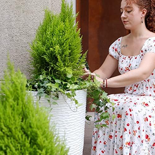 Worth Garden 2-Pack 21" H. White Tall Planters - 14'' Dia Resin Large Round Flower Pots for Outdoor Plants Trees - Imitation Stone Finish Plastic Indoor Front Porch 9 Gallon Decorative Container Patio-Ruum Studio Home